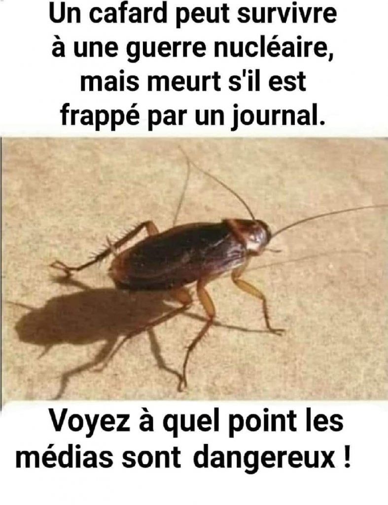 Le sourire est un devoir social.